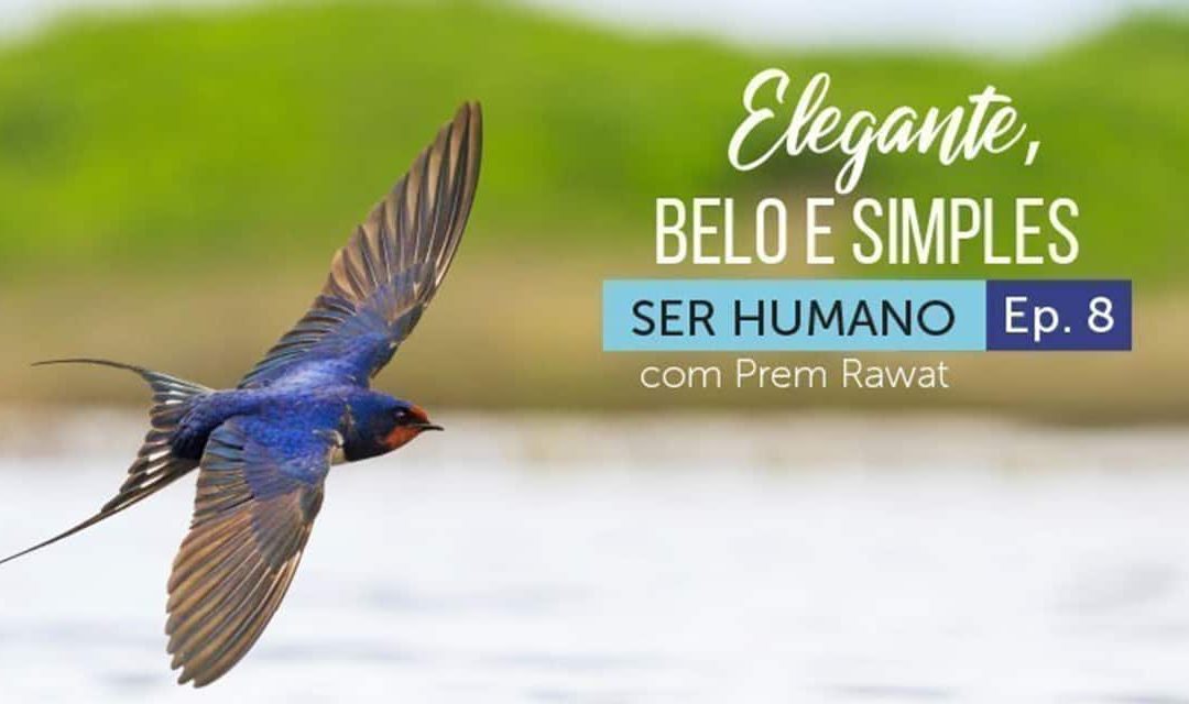 Ser Humano – Episódio 8 – Elegante, Belo e Simples