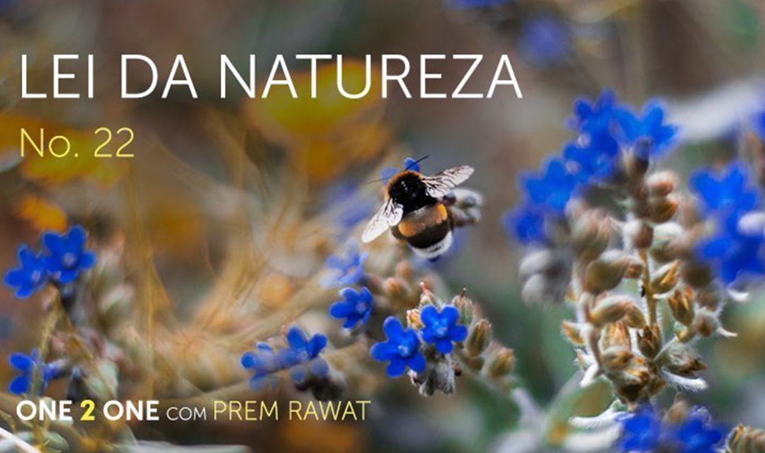 One 2 One com Prem Rawat – Lei da Natureza